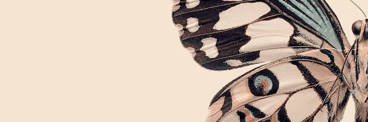 LeaPrmtr's profile banner image