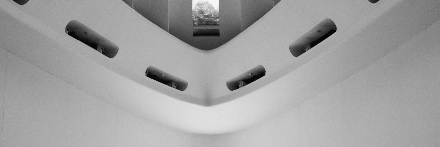 Lauren Stenzel banner