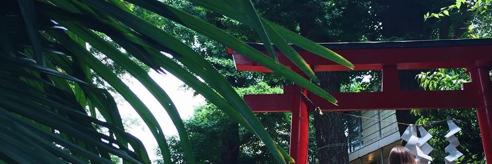 laura tucker banner