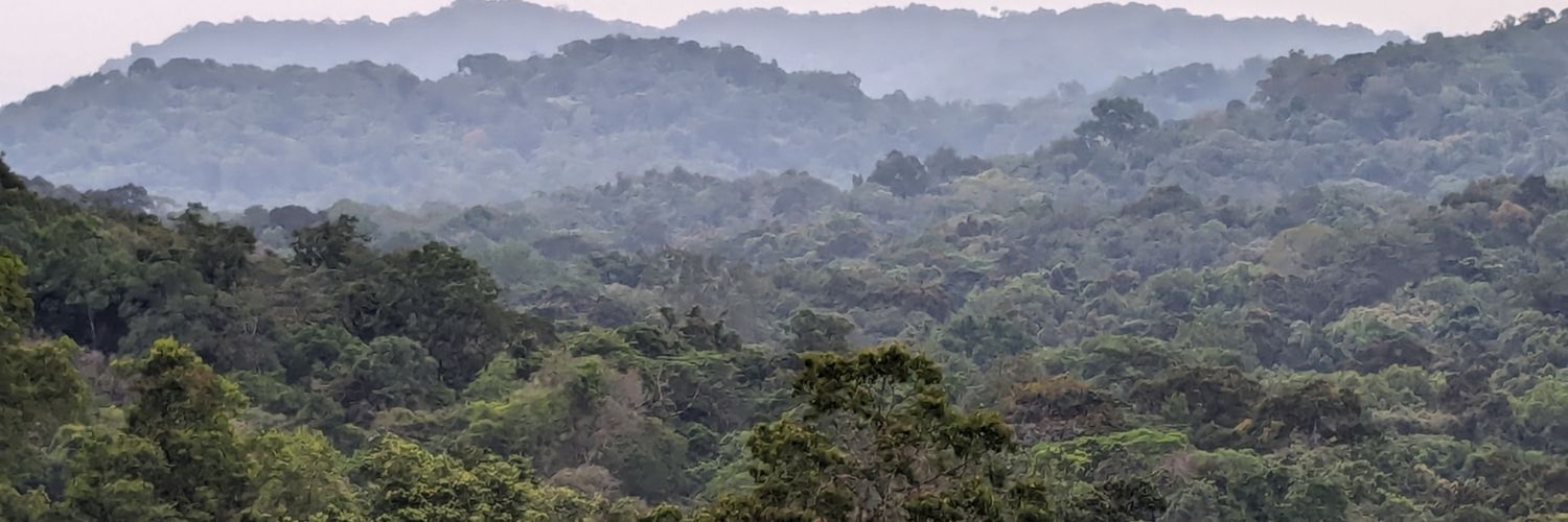 Jiwoh Abdulai banner