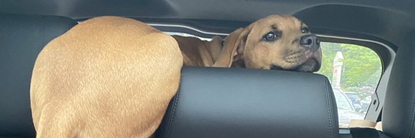 soledadobrien Profile Banner