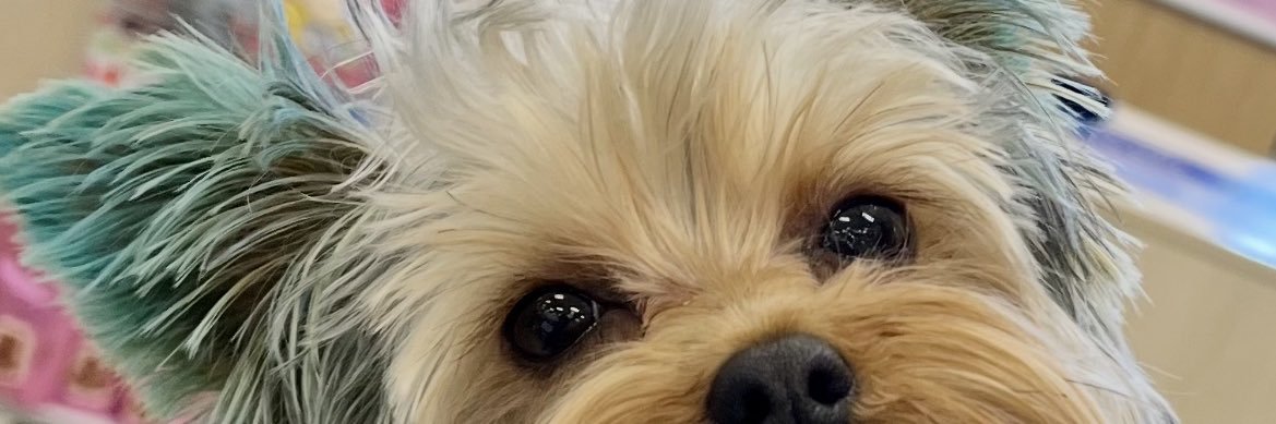 bignae36's profile banner image