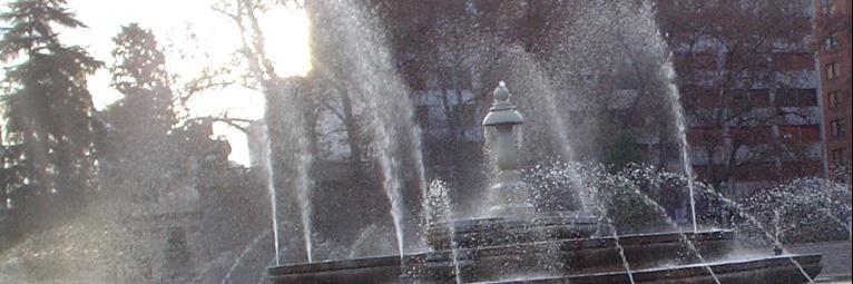 Horacio J Etchichury banner