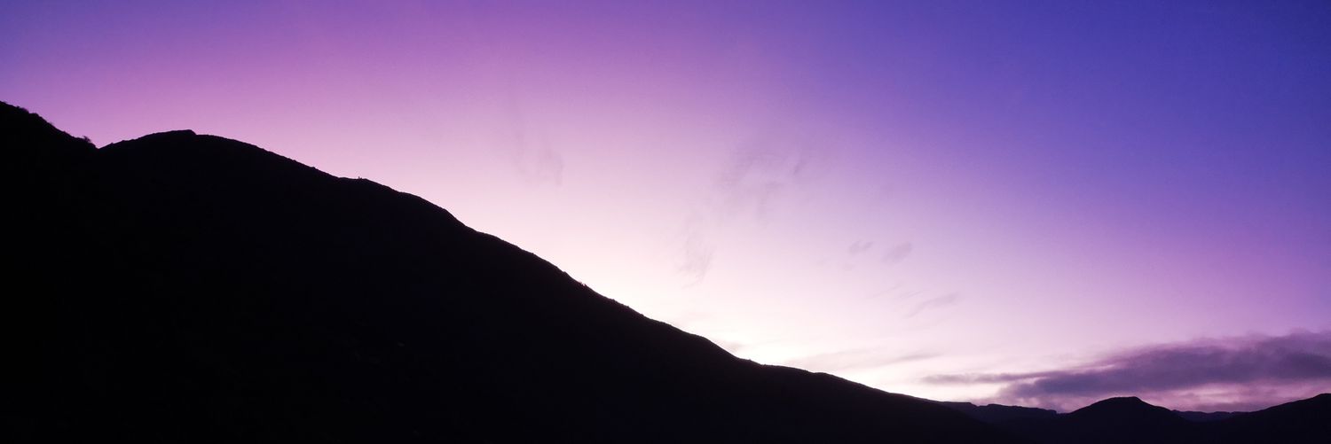 WBrunella17's profile banner image