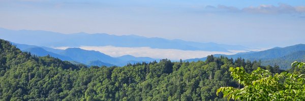 wjwaldron Profile Banner