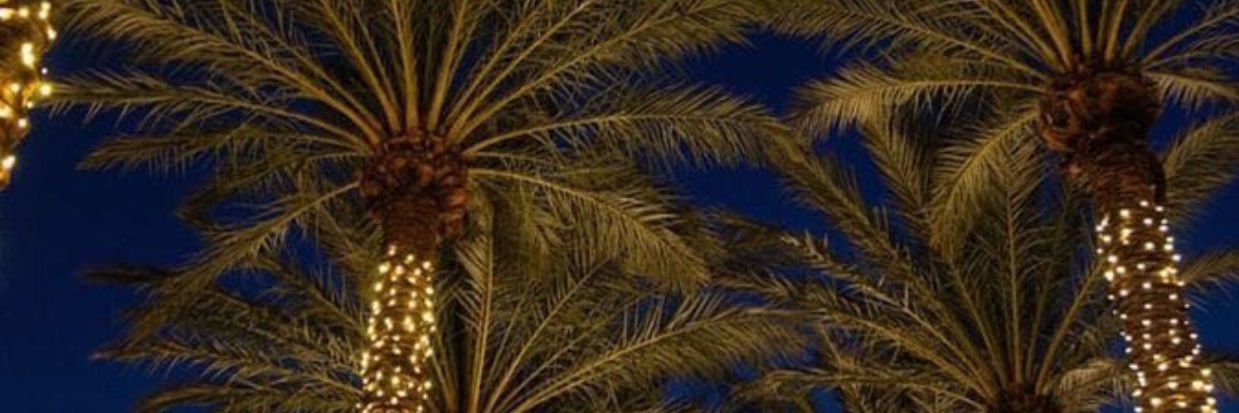 iaamfa_'s profile banner image