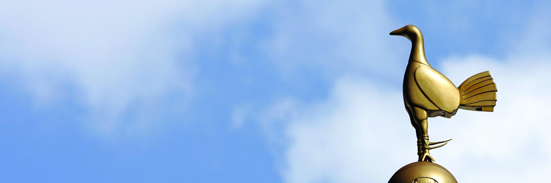 Martin Halvarsson banner