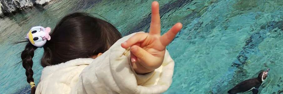 YtNkym's profile banner image