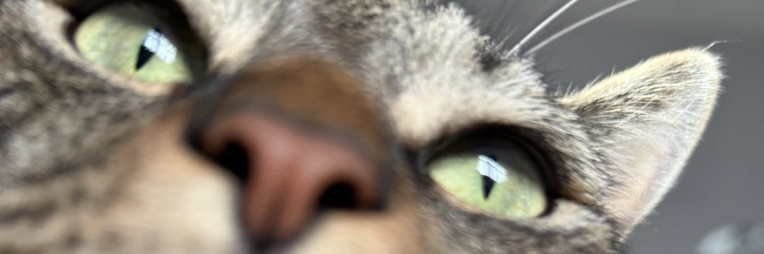 andreapetrang's profile banner image