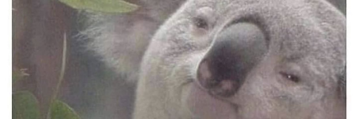 What Now? ⚠️ banner