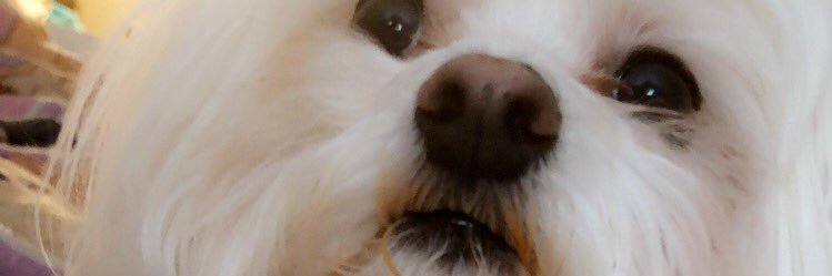 Kdanielle47's profile banner image