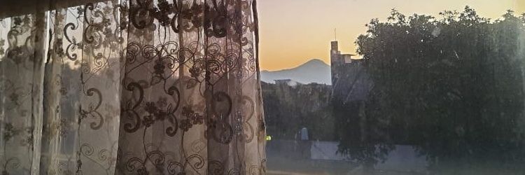 havinvi's profile banner image