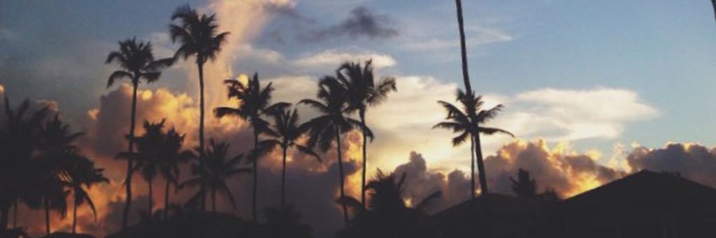 uwustu's profile banner image
