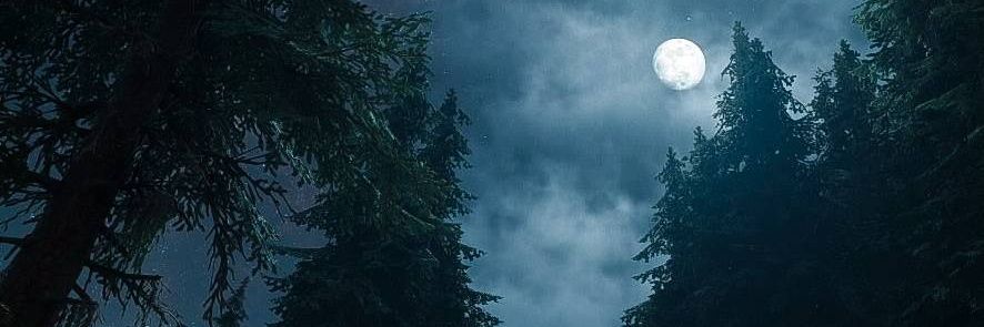 aleberneri's profile banner image