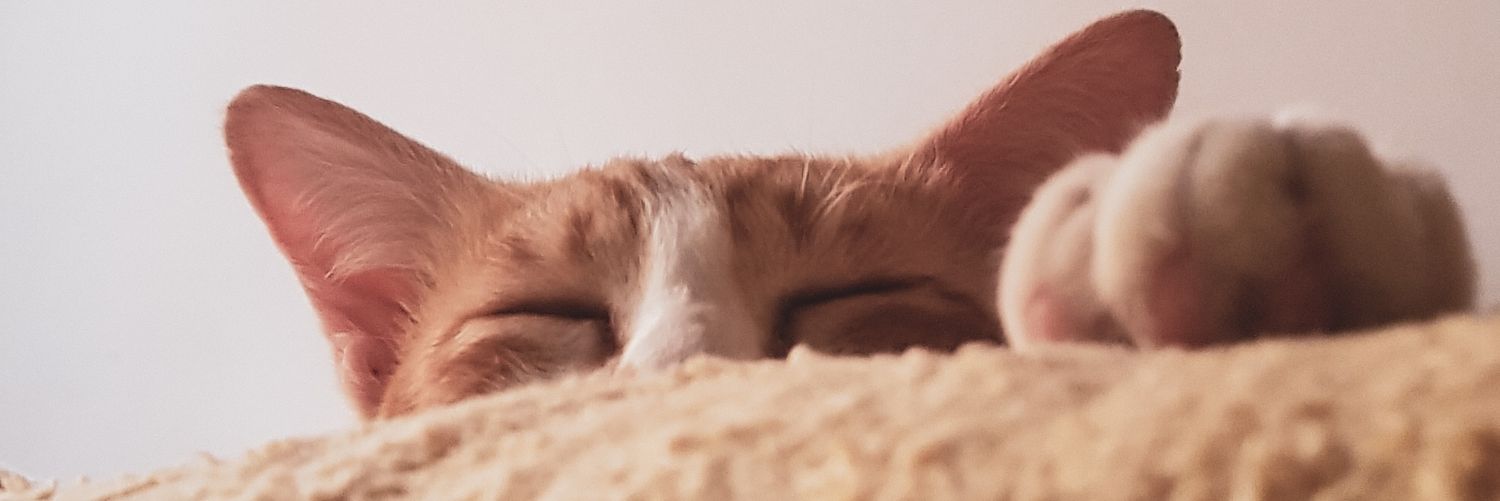azzimrazak's profile banner image