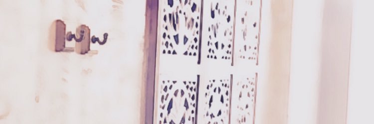 virgnlez's profile banner image