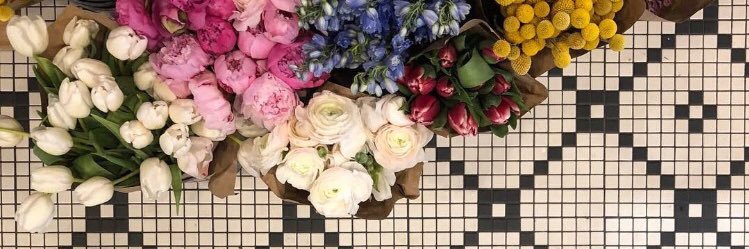 Sara Sabulsky banner