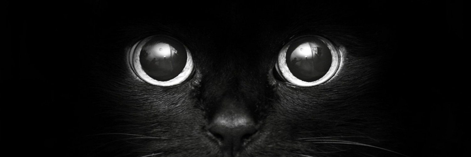 NauusF's profile banner image