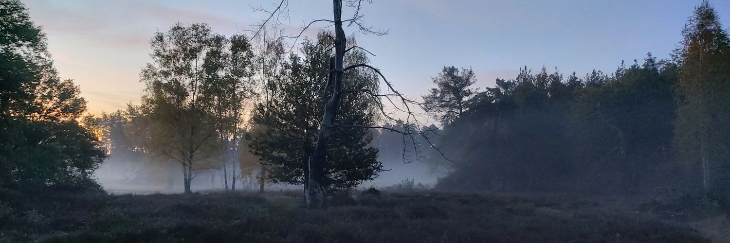 Umbadog's profile banner image