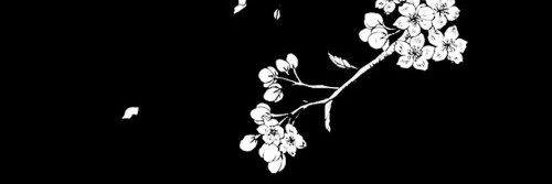 _crxi's profile banner image
