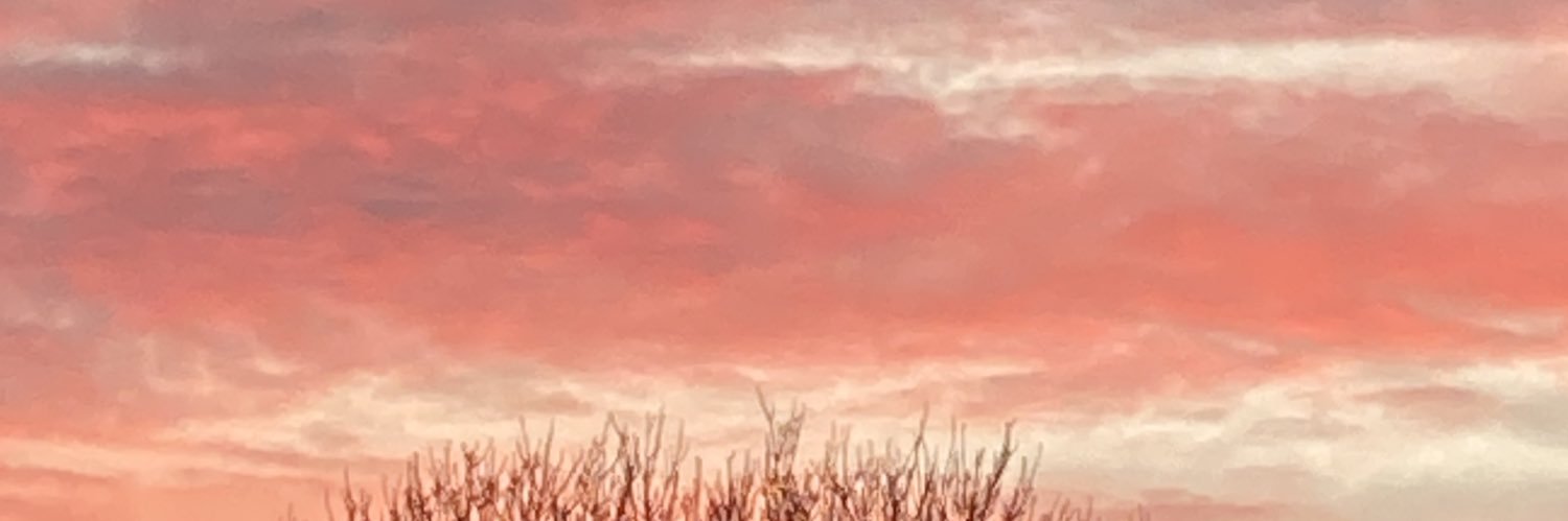 dissco22's profile banner image
