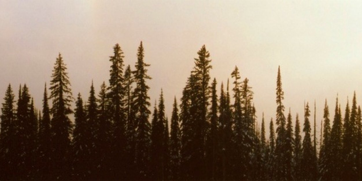 Neuuis's profile banner image