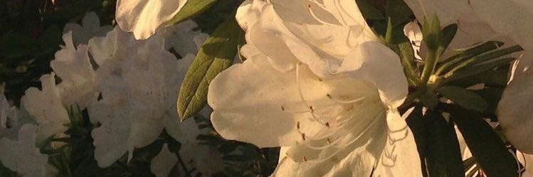 aboran3's profile banner image