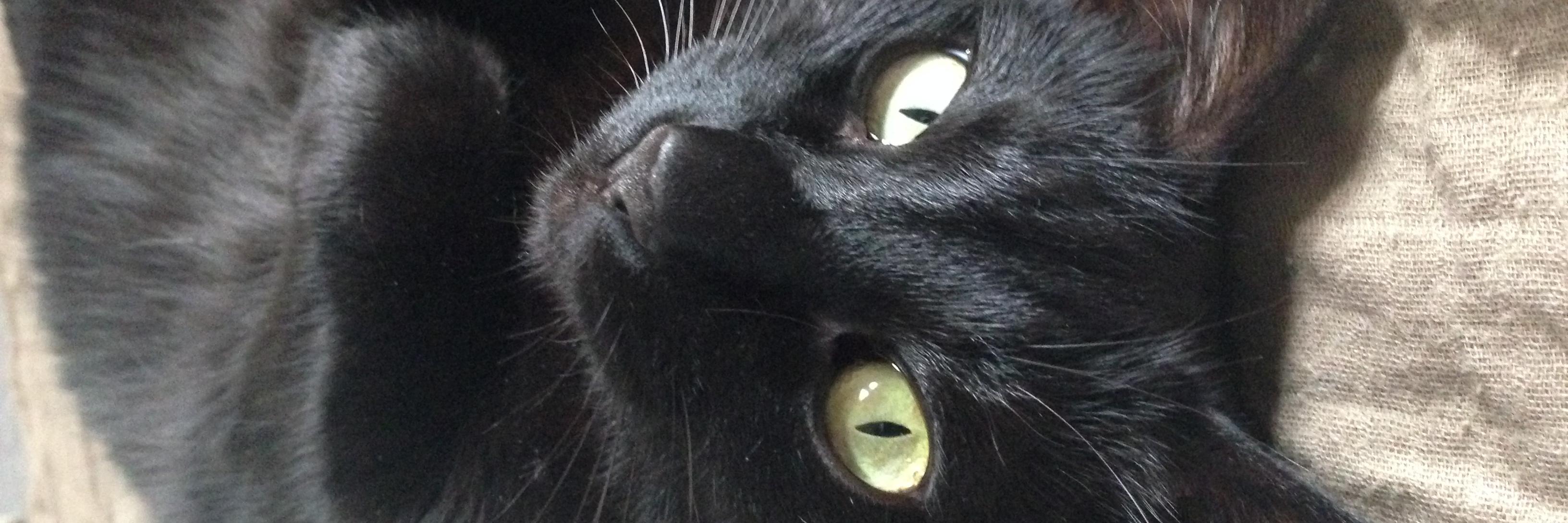 wertlos_los's profile banner image