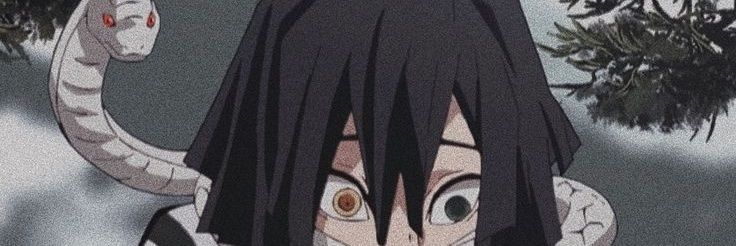 sofk__'s profile banner image