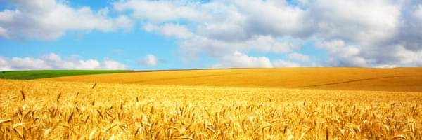EvgenZay's profile banner image