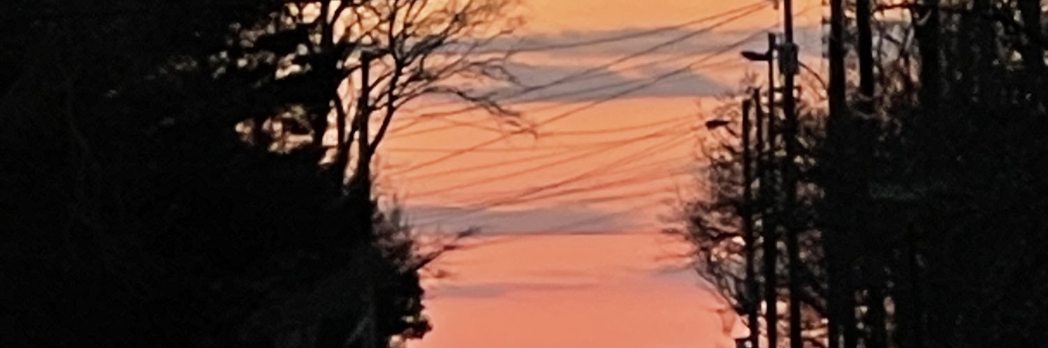 meghead321's profile banner image