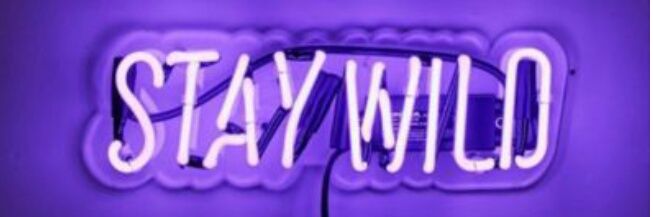 shelby rae banner