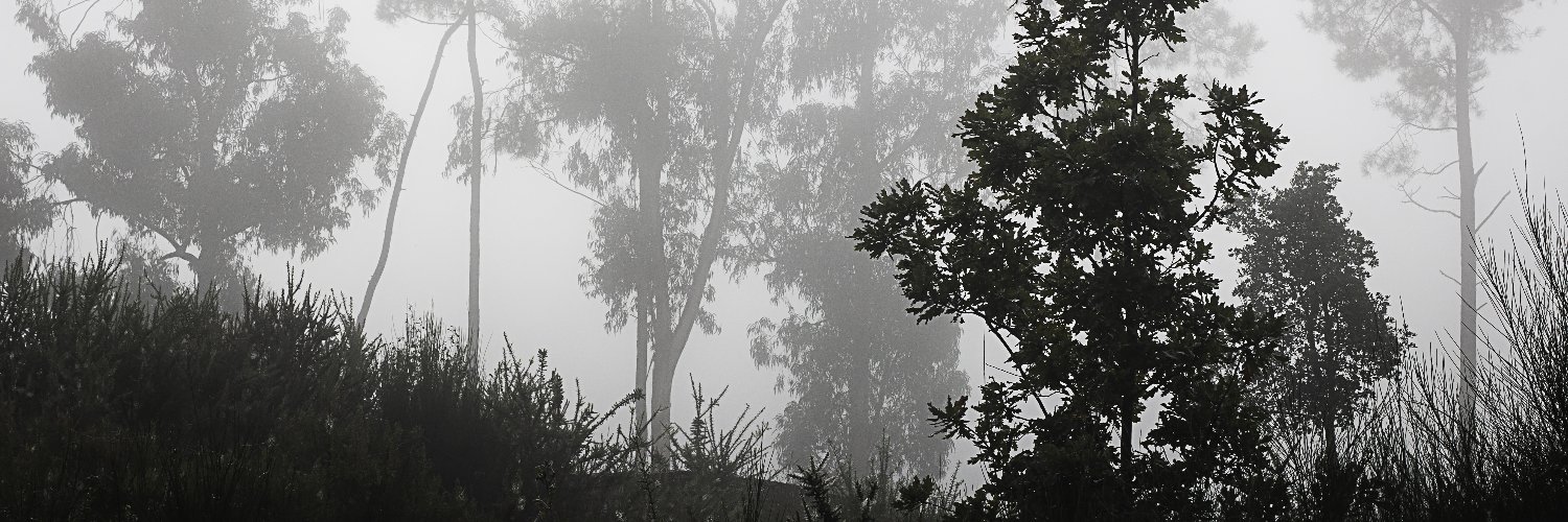 DrRappaccini's profile banner image