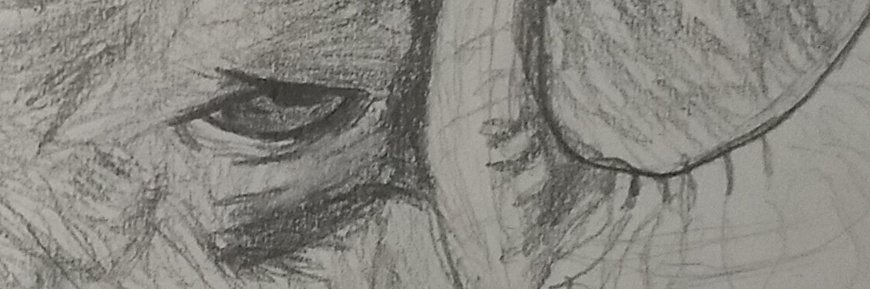 ClerilCalamity's profile banner image