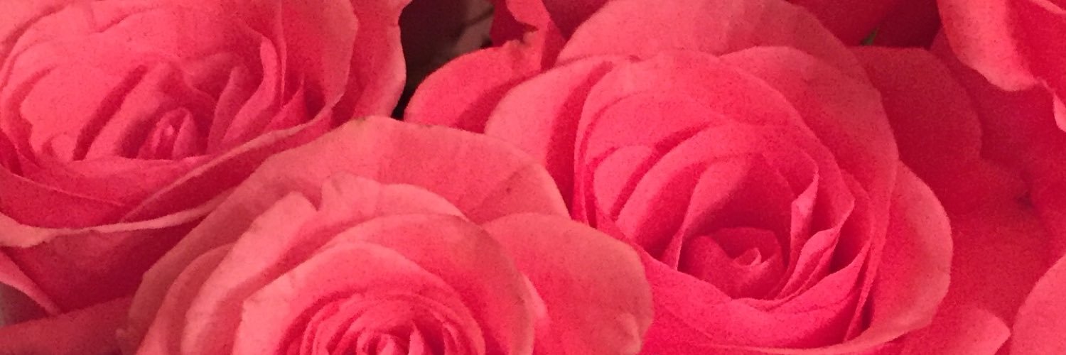 emmacsteedman's profile banner image