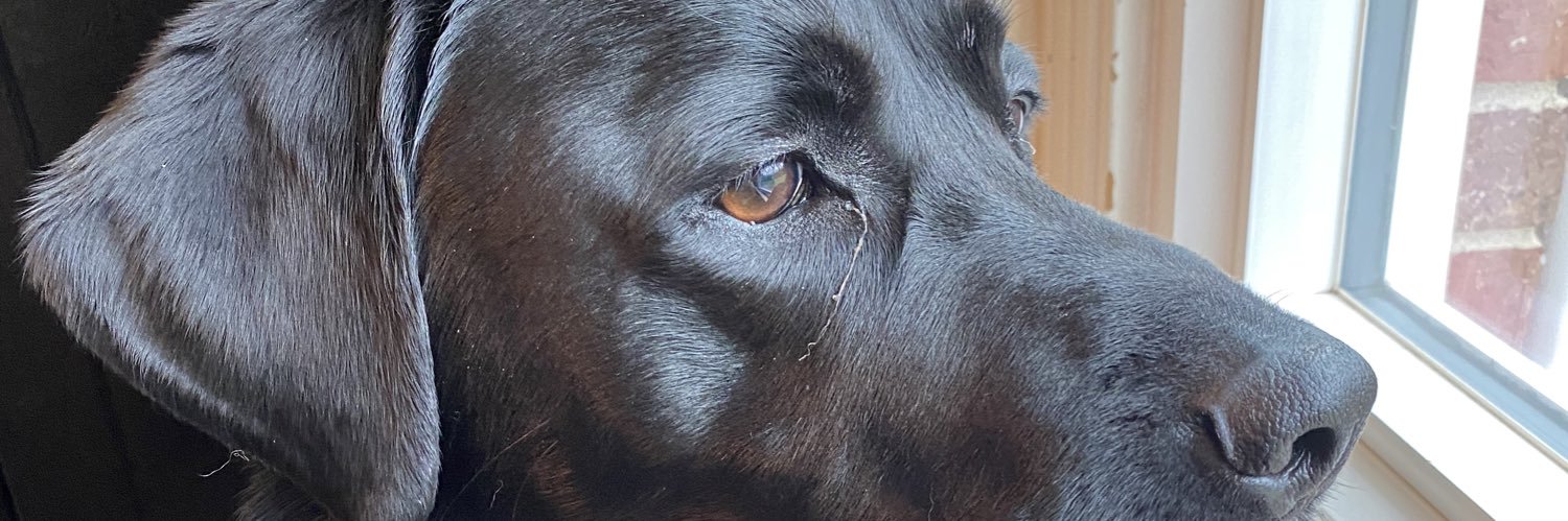 jakelagrone's profile banner image