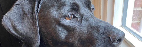 jakelagrone Profile Banner