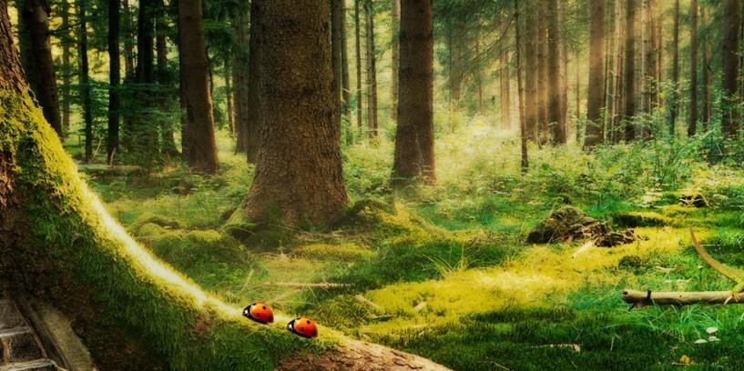 _rakannach_'s profile banner image