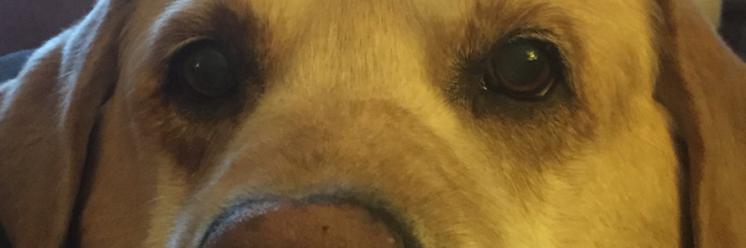 trago13's profile banner image