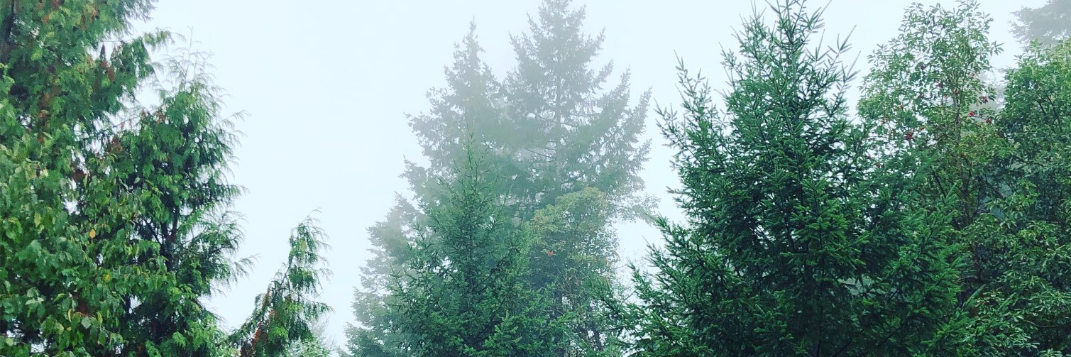 Johnny Zvi (he/him) banner