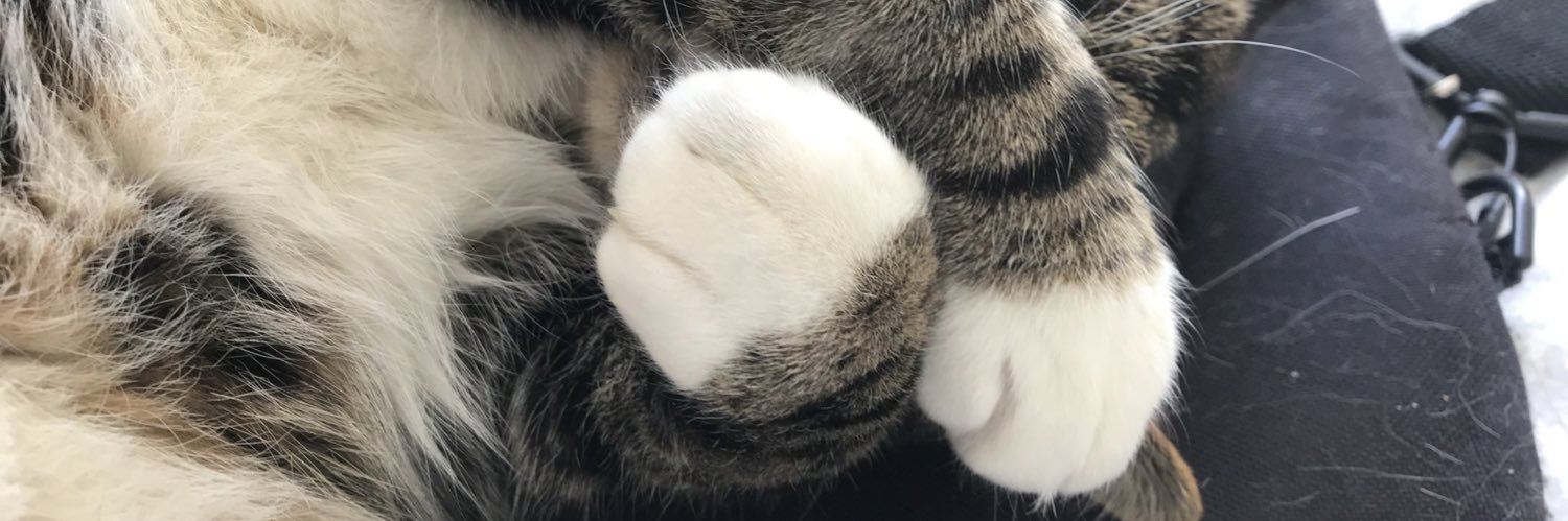 jooliep's profile banner image