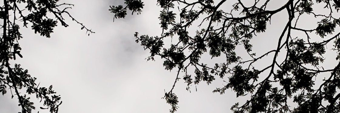 Baty_Hoz's profile banner image