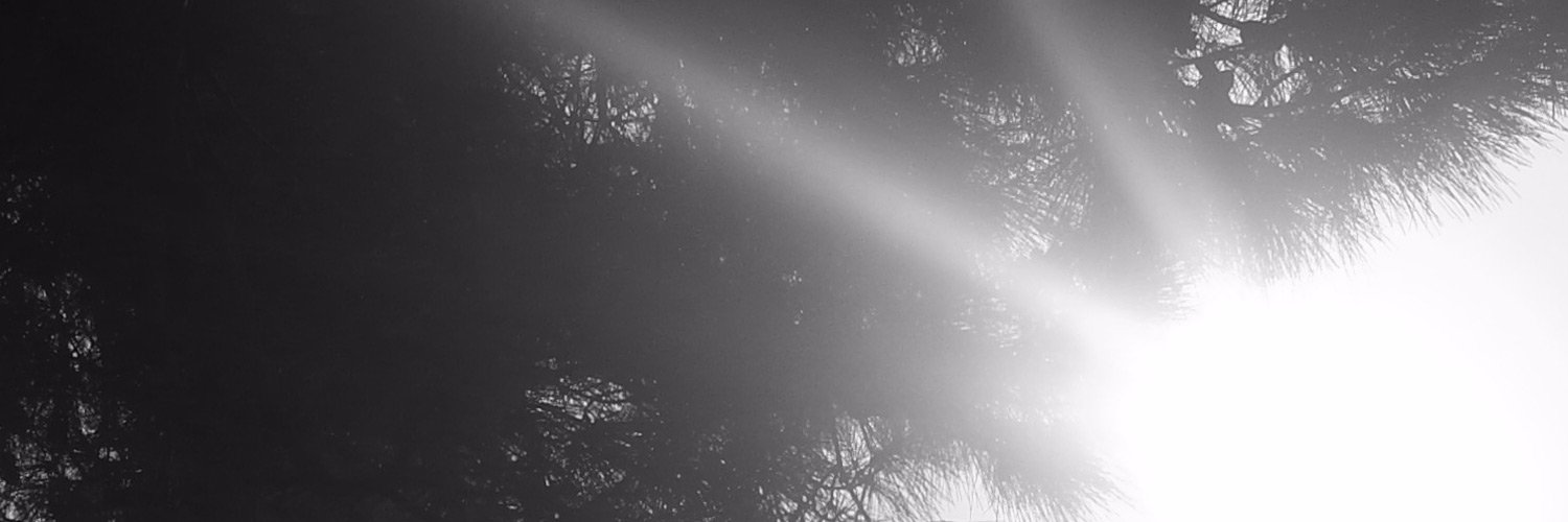 markpofarrell's profile banner image