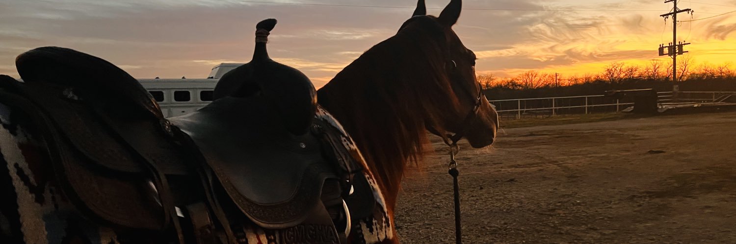 meganskinner33's profile banner image