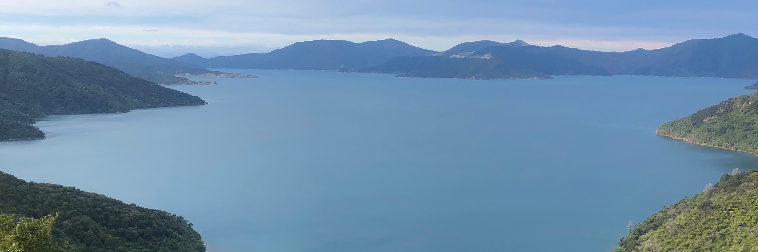 Cian Ó Ruairc banner