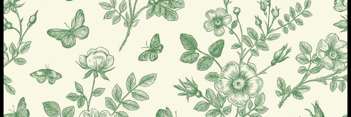 macey rose banner