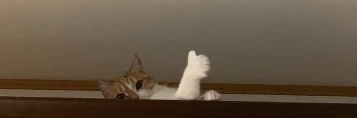 its_aufa's profile banner image