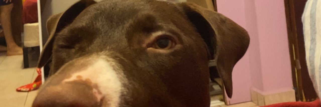 gabrielryan69's profile banner image