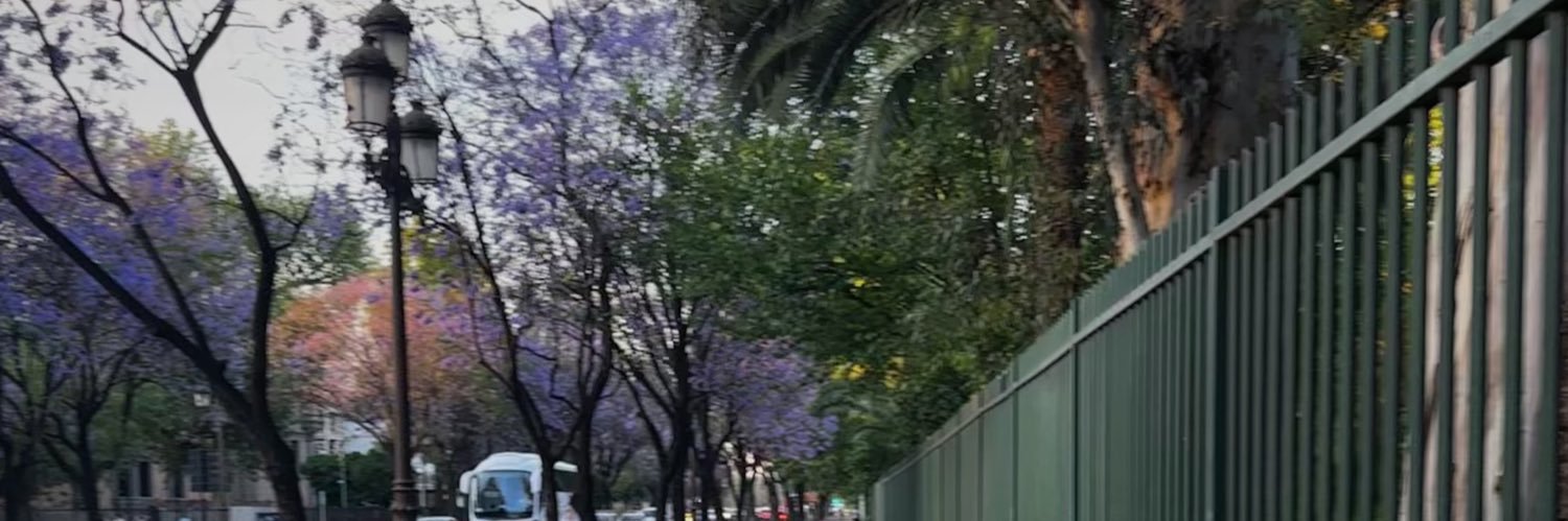 serena_samm's profile banner image