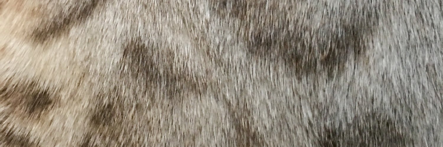 stopepe2's profile banner image